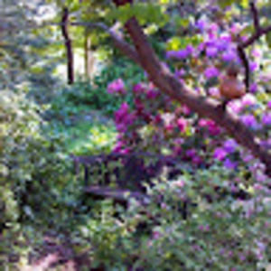 Meet your Posher, Dennis